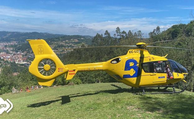 Trasladado Al Huca Un Hombre Afectado Por Picaduras De Avispa En Langreo El Comercio Diario 3996